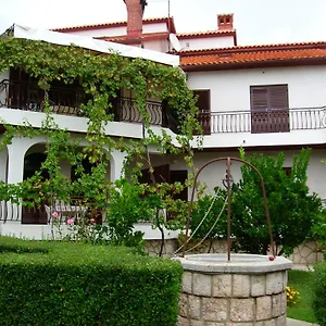 Apartment P&z